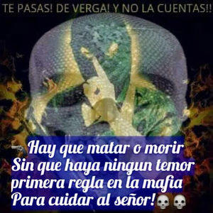 Meet your Posher, Marco